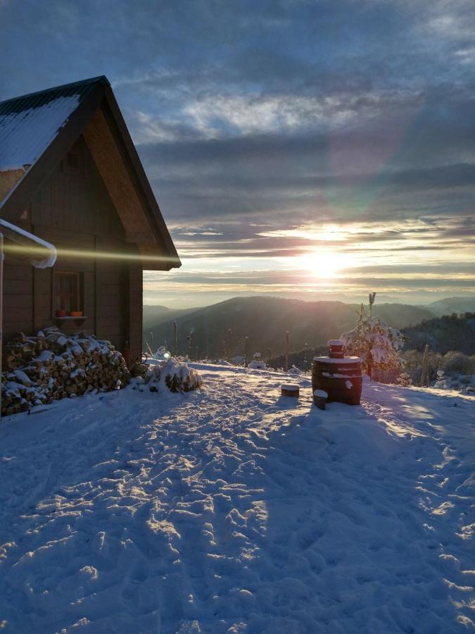 Vikendica Rankovici Villa Mokra Gora Kültér fotó