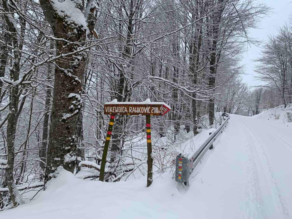 Vikendica Rankovici Villa Mokra Gora Kültér fotó