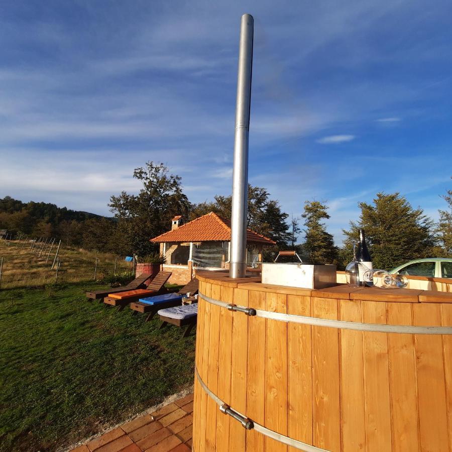 Vikendica Rankovici Villa Mokra Gora Kültér fotó
