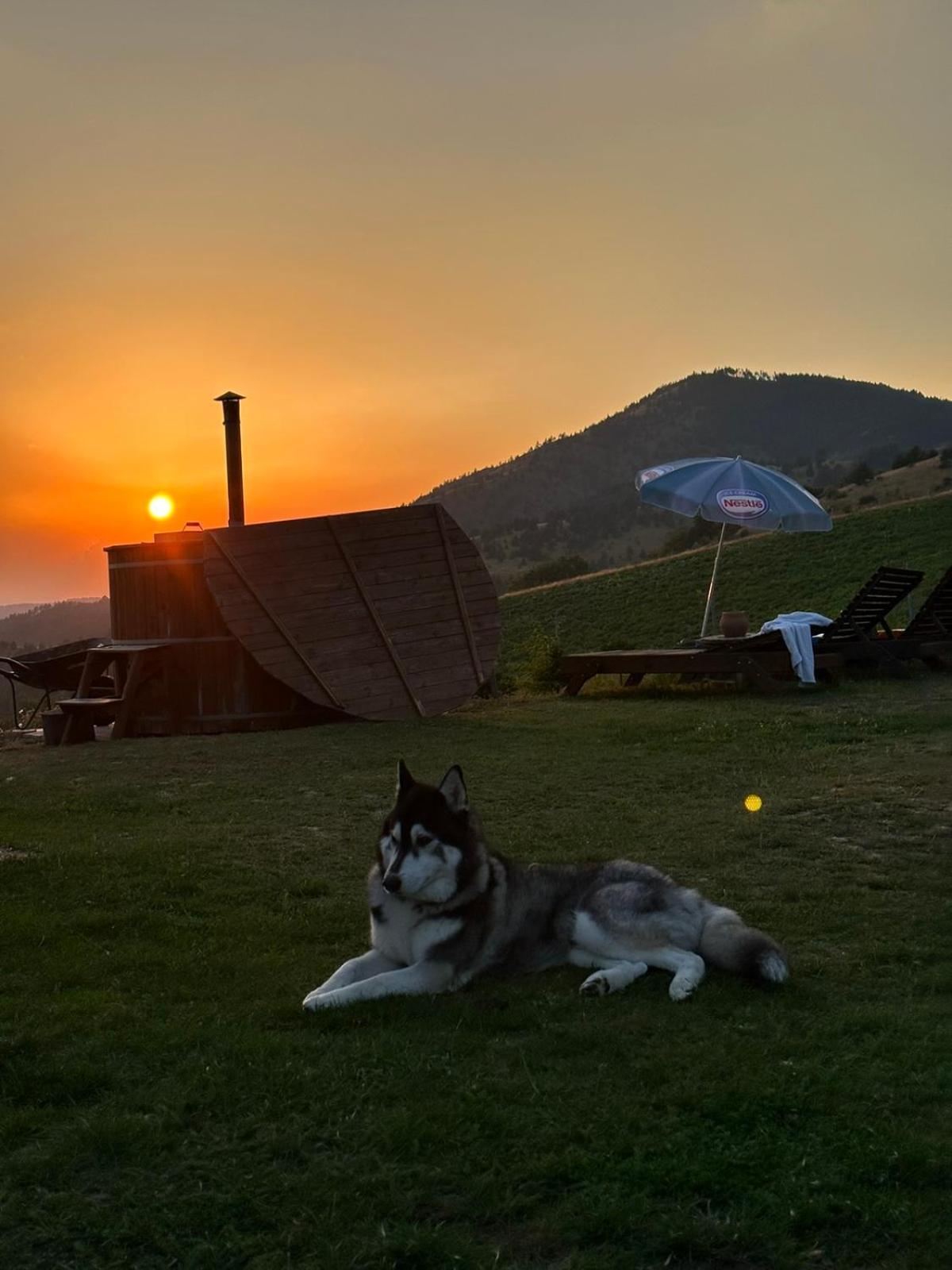 Vikendica Rankovici Villa Mokra Gora Kültér fotó