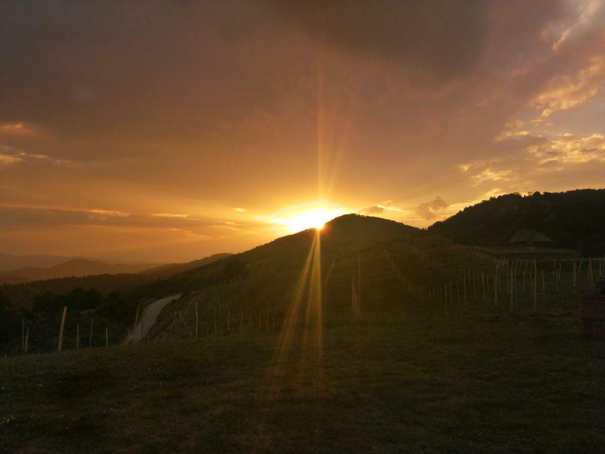Vikendica Rankovici Villa Mokra Gora Kültér fotó