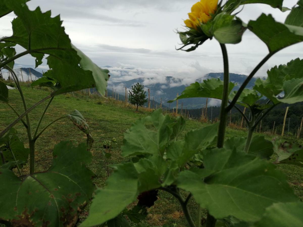 Vikendica Rankovici Villa Mokra Gora Kültér fotó