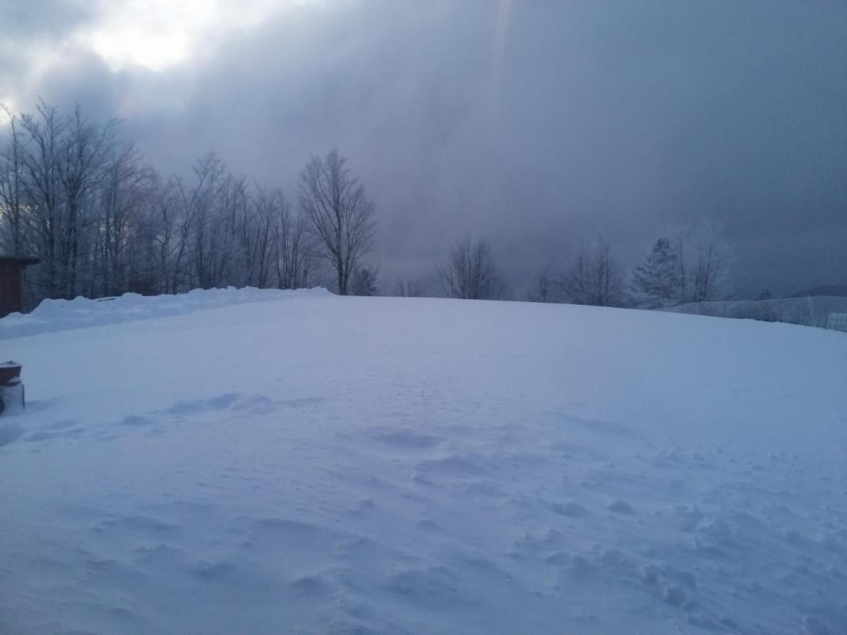 Vikendica Rankovici Villa Mokra Gora Kültér fotó