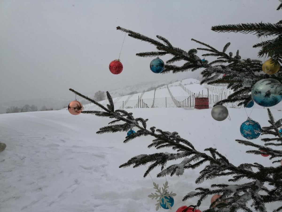 Vikendica Rankovici Villa Mokra Gora Kültér fotó