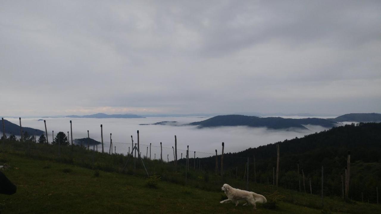 Vikendica Rankovici Villa Mokra Gora Kültér fotó