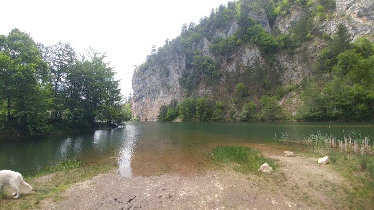 Vikendica Rankovici Villa Mokra Gora Kültér fotó